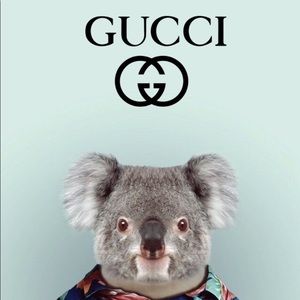 Meet your Posher, Chad